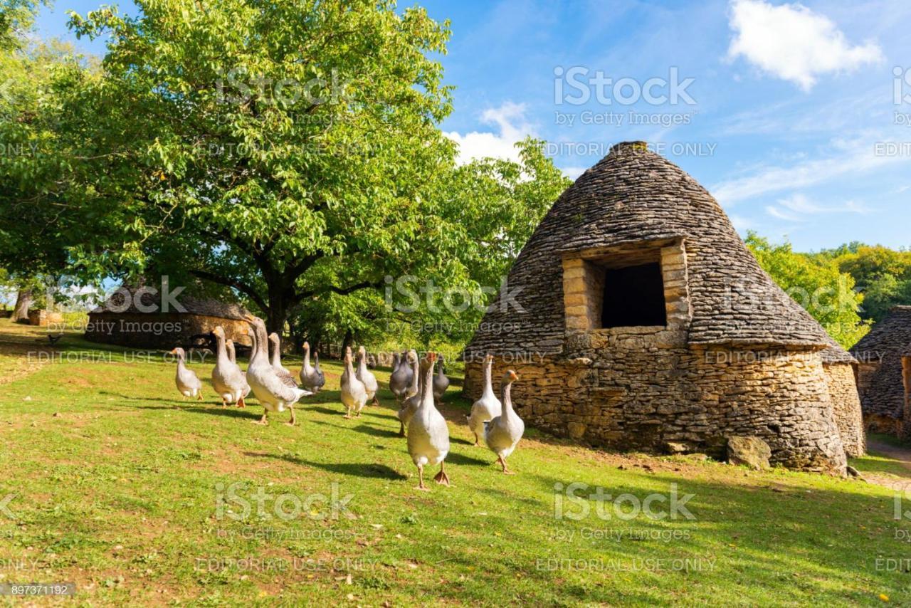 Studio Fontaine D'Amour Sarlat-la-Caneda Exterior photo